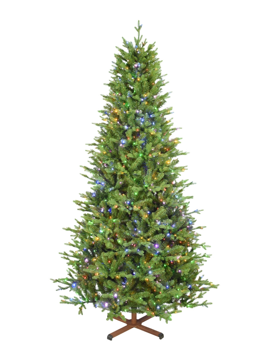 Balsam Fir 7.5'